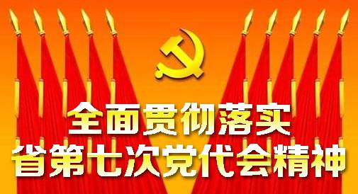 海南省第七次党代会