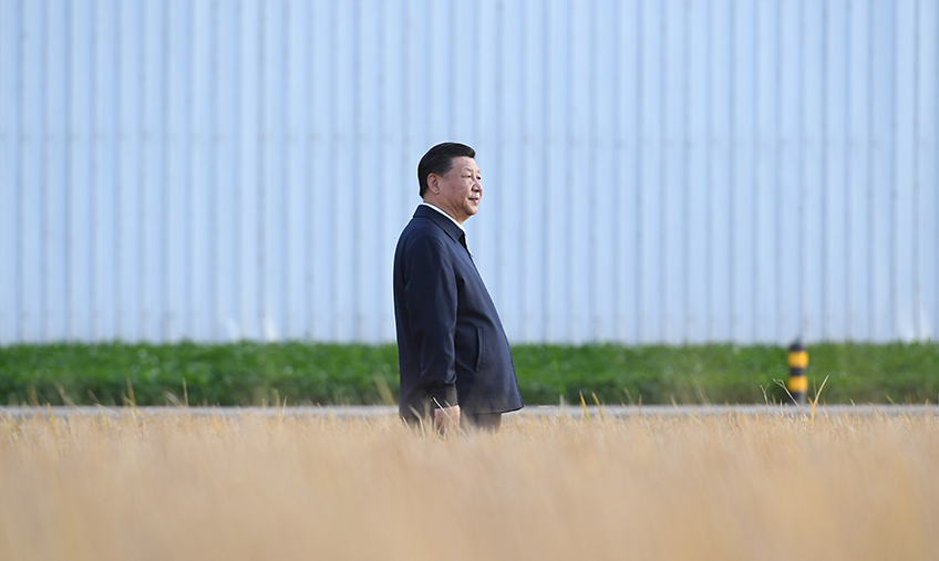 习近平总书记心系农民丰收的故事